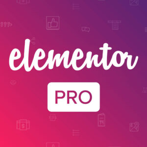 Elementor Pro 3.19.2 -WordPress Plugin