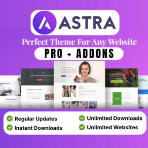 Astra WordPress Theme 4.1.5